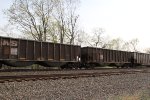 NS 10051